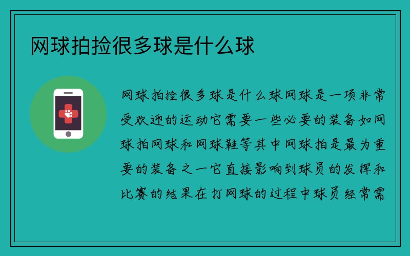 网球拍捡很多球是什么球