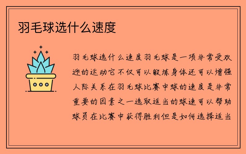 羽毛球选什么速度