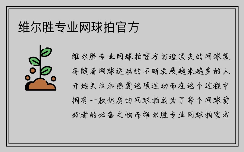 维尔胜专业网球拍官方