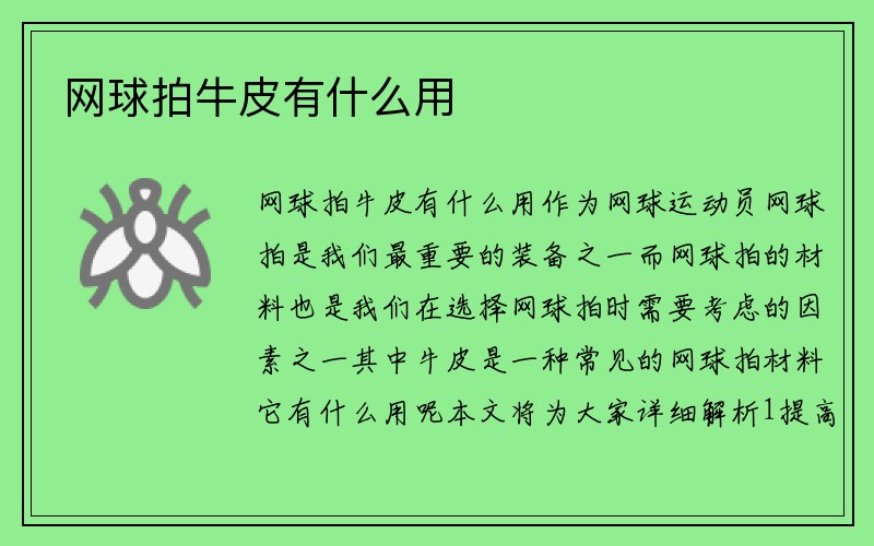 网球拍牛皮有什么用