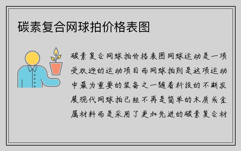 碳素复合网球拍价格表图