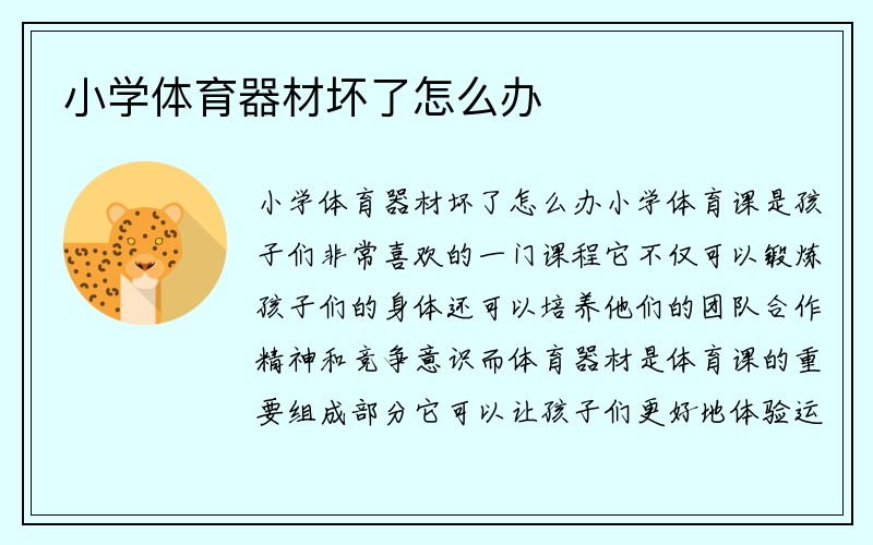 小学体育器材坏了怎么办