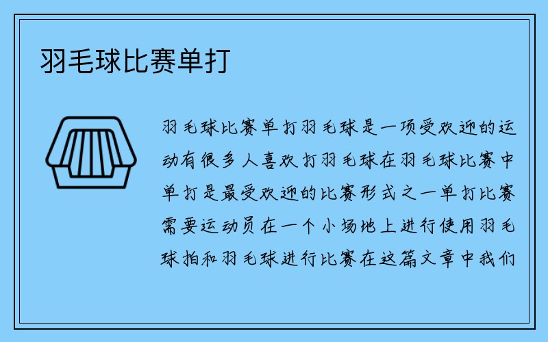 羽毛球比赛单打