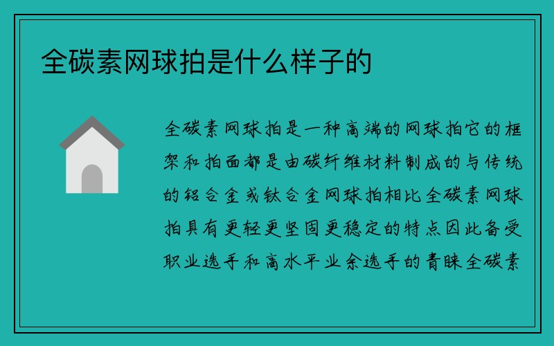 全碳素网球拍是什么样子的