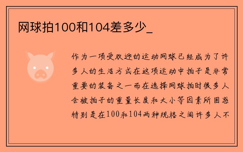 网球拍100和104差多少_