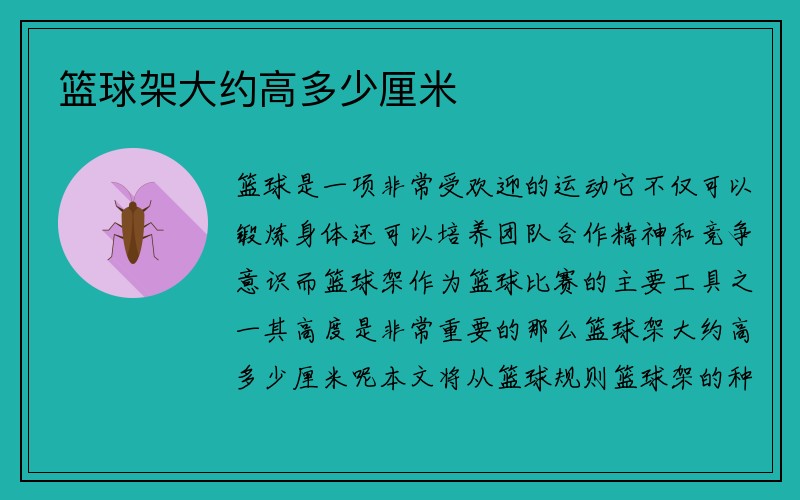 篮球架大约高多少厘米