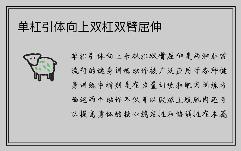 单杠引体向上双杠双臂屈伸